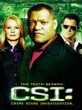 CSI   - - 10  (5 DVD-9)