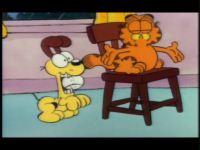     (Garfield and Friends) (3 DVD-Video)