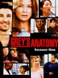  - 1  (Grey's Anatomy) (2 DVD-9)