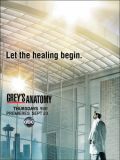   - 7  (Grey's Anatomy) (6 DVD-9)