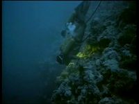     (79 ) (Cousteau Odyssey) (20 DVD-10)