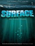  [15 ] (Surface) (2 DVD-10)