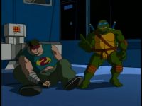 - -   [2003] (Teenage Mutant Ninja Turtles) (19 DVD-Video)
