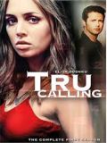   /    [ ] (Tru Calling) (8 DVD-9)