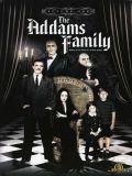   -   (1964) (The Addams Family) (9 DVD-Video)