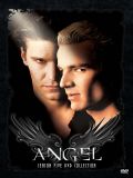 Ангел - 5 сезон (Angel) (6 DVD-9)