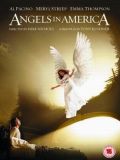 Ангелы в Америке (Angels in America) (3 DVD-Video)