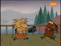   [79 ] (The Angry Beavers) (8 DVD-Video)