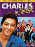 Чарльз в ответе - 3 сезон (Charles in Charge) (4 DVD-Video)