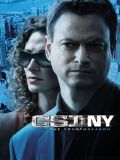CSI Место преступления Нью-Йорк - 4 сезон (6 DVD-9)
