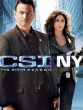 CSI Место преступления Нью-Йорк - 6 сезон (6 DVD-9)