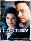 CSI Место преступления Нью-Йорк - 7 сезон (6 DVD-9)
