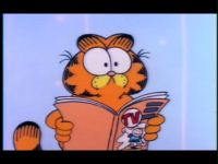 Гарфилд и его друзья (Garfield and Friends) (3 DVD-Video)