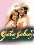 Дикая кошка [все серии] (Gata Salvaje) (32 DVD-10)