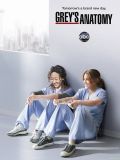   - 8  (Grey\'s Anatomy) (6 DVD-9)