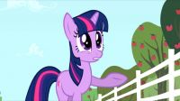 Мой маленький пони: Дружба – это чудо - 2 сезон (My Little Pony: Friendship Is Magic) (6 DVD-Video)