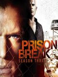Побег из тюрьмы - 3 сезон (Prison Break) (4 DVD-9)
