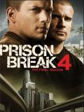 Побег из тюрьмы - 4 сезон + Финальный побег (Prison Break) (7 DVD-9)