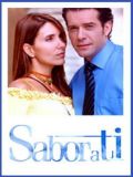 Сила любви (Sabor a ti) (20 DVD-10)