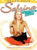 Сабрина - маленькая ведьма - 1 сезон (Sabrina, the Teenage Witch) (4 DVD-9)