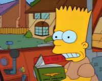 Симпсоны - Кино Фестиваль (Simpsons: Film Festival) (1 DVD-Video)