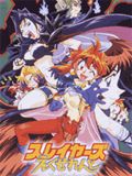 Превосходные Рубаки (Slayers OVA 2 Excellent) (1 DVD-Video)