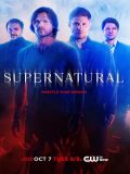 Сверхъестественное - 10 сезон (Supernatural) (6 DVD-9)
