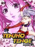 На земле и на небесах (Tenjho Tenge) (6 DVD-9)