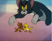 Том и Джерри (Tom and Jerry) (8 DVD-9)