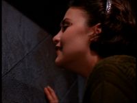 Твин Пикс [29 серий + пилотный фильм] (Twin Peaks) (10 DVD-9)